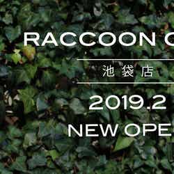 RACCOON CAFE／画像提供：Babydoor
