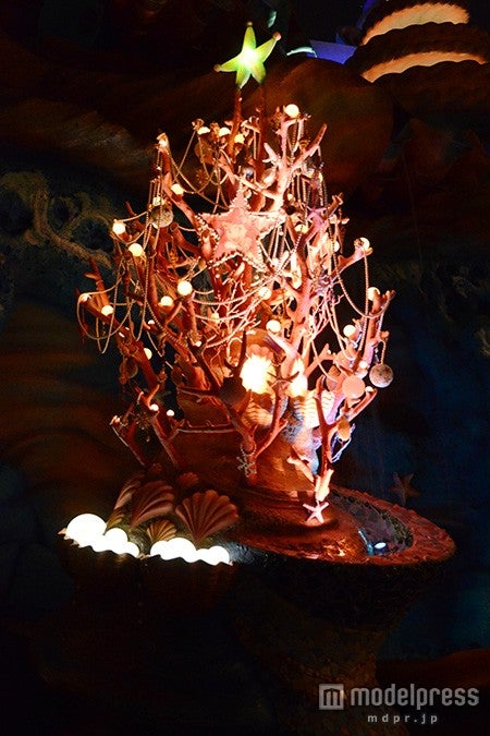 マーメイドラグーンのサンゴのツリー