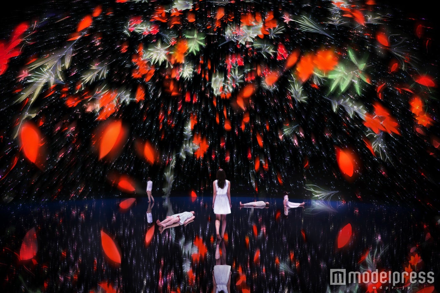 Floating in the Falling Universe of Flowers／画像提供：チームラボ