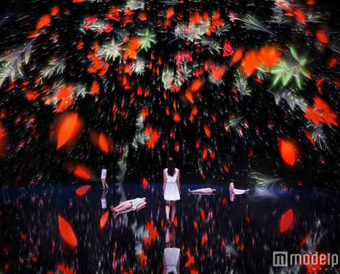 お台場に巨大デジタルアート作品群 1000万本超の花の宇宙空間を表現