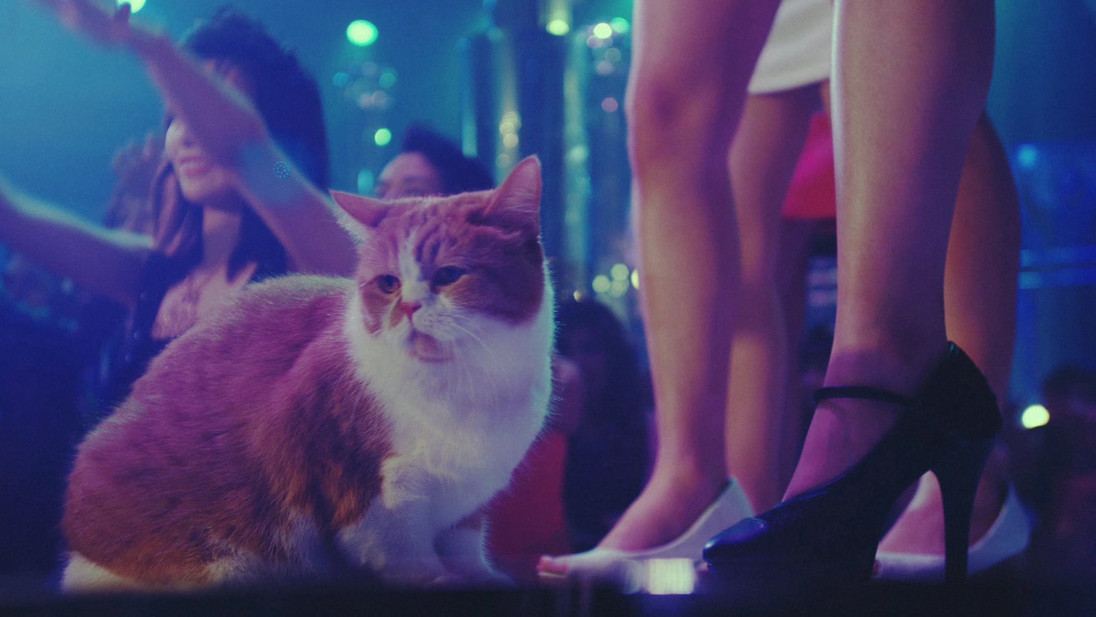 新CMメイキングより