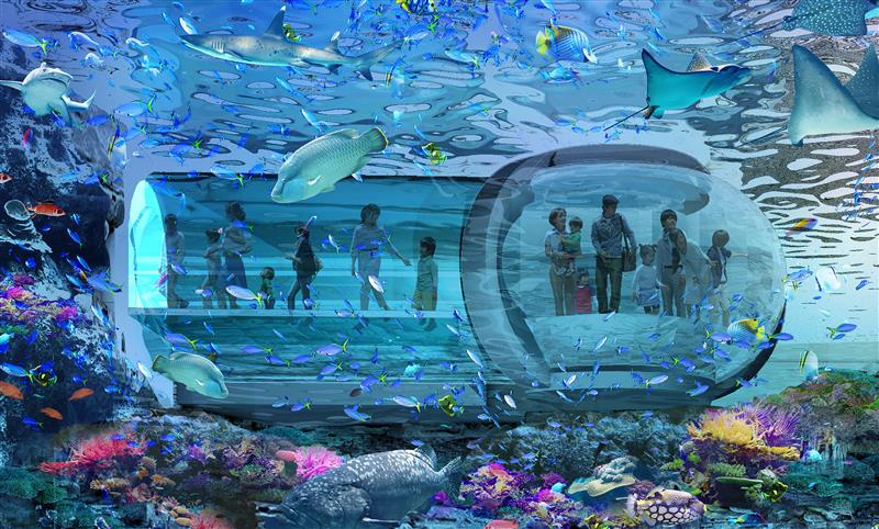 海の画廊「珊瑚海の午後」 東京ジャイアンツタウン内に新水族館、2027年誕生へ サンゴ礁の