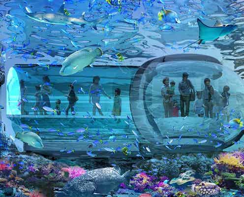 東京ジャイアンツタウン内に新水族館、2027年誕生へ サンゴ礁の海を歩く水中回廊や大水槽