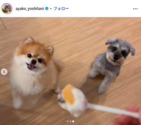 吉谷彩子Instagramより