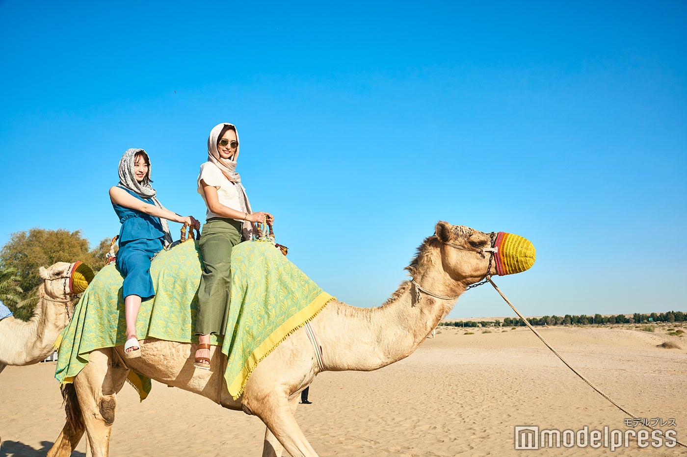 砂漠といえばラクダ乗りは外せない<br>
※バブ・アル・シャムス・リゾート＆スパにて。（C)モデルプレス