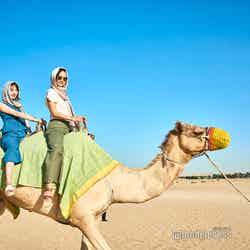 砂漠といえばラクダ乗りは外せない
※バブ・アル・シャムス・リゾート＆スパにて。（C)モデルプレス