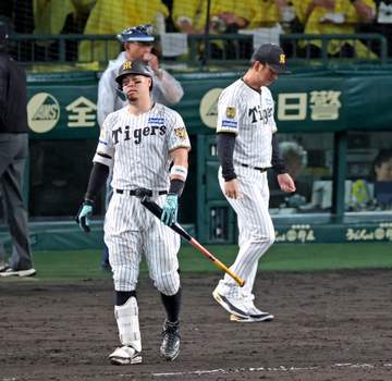阪神・藤川監督 ディベイニー初安打「本当にいいスタート」 「ここで起こったプレーをこの後、つなげていく」