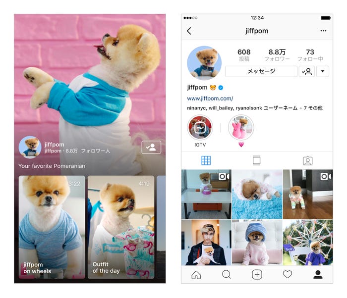 InstagramアプリからIGTVを楽しむことも可能 (提供画像)