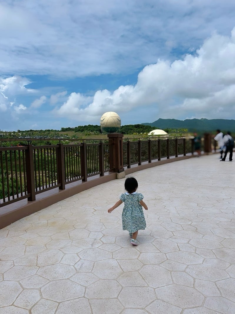 安めぐみ公式ブログより