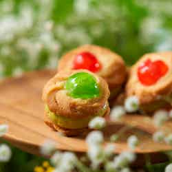 Healing Garden -New Retro Sweets×Glamping Recipes-/提供画像