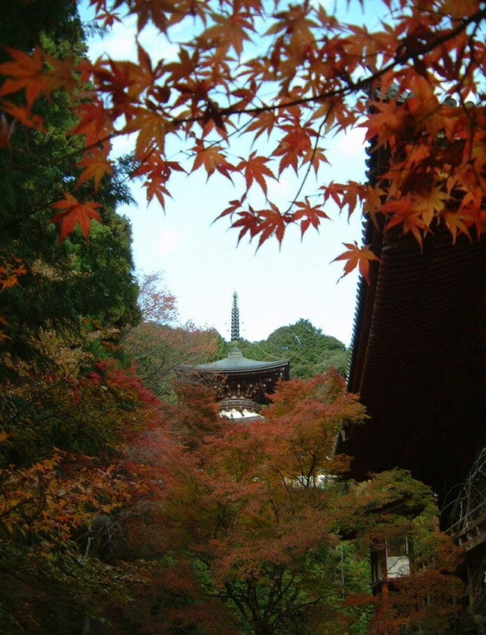 神護寺の多宝塔と紅葉（2004年11月21日撮影）