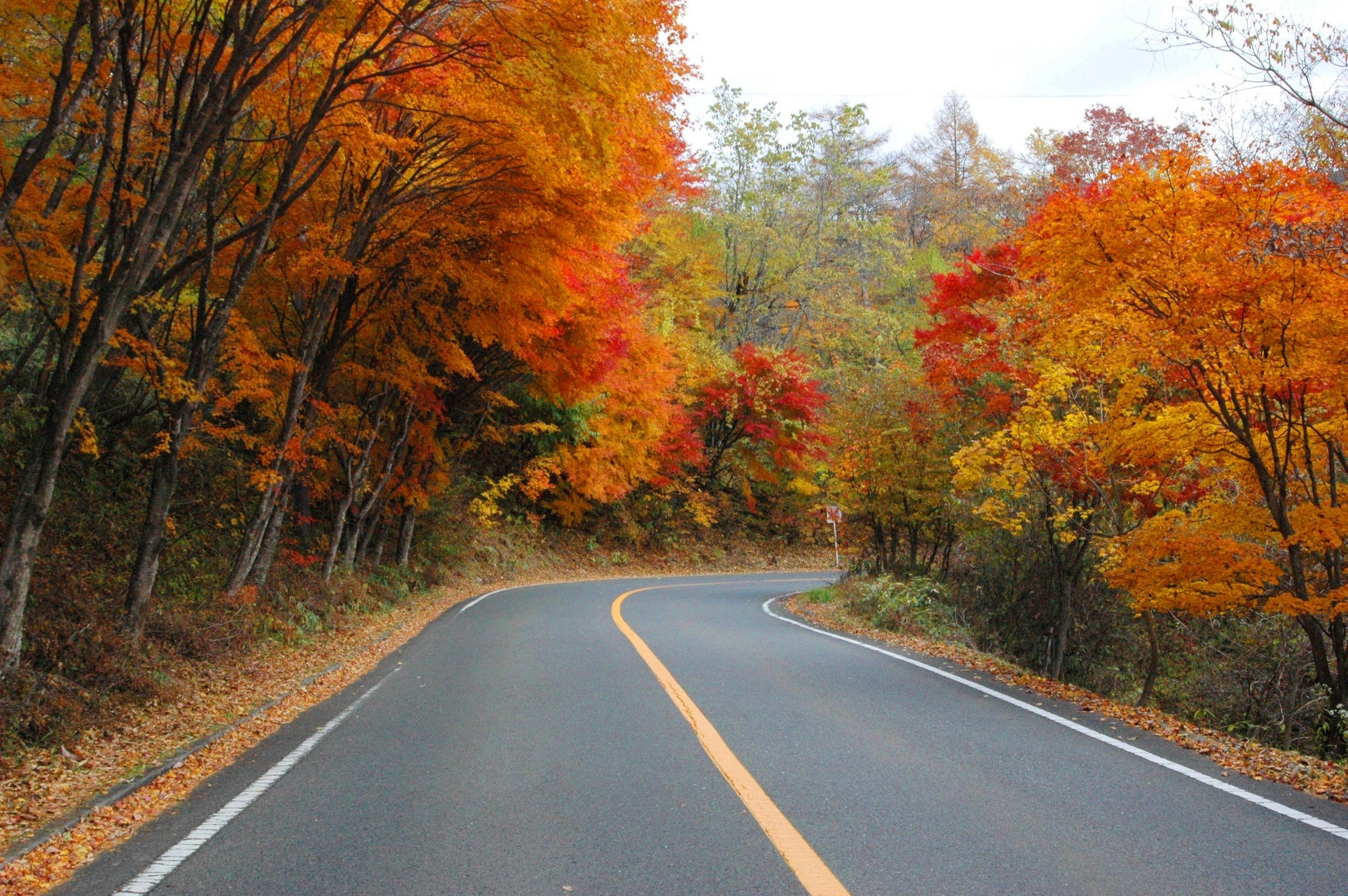 日塩もみじライン／画像提供：日光市観光情報発信センター