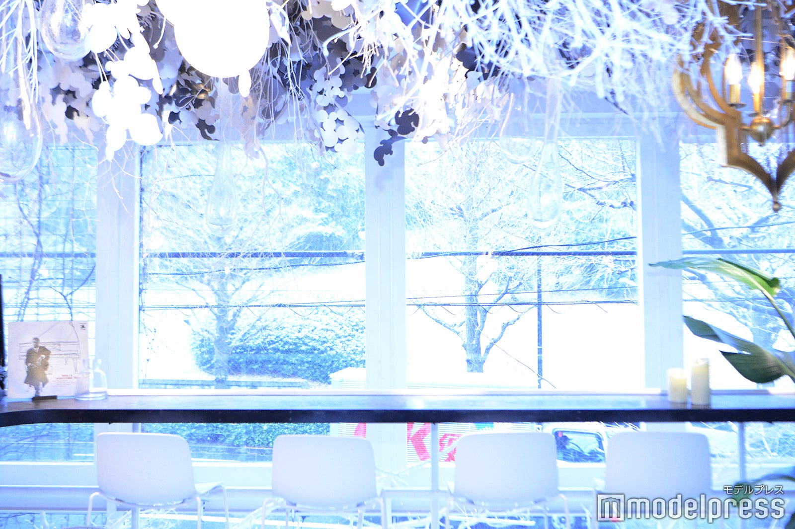 TREE by NAKED yoyogi park（C）モデルプレス