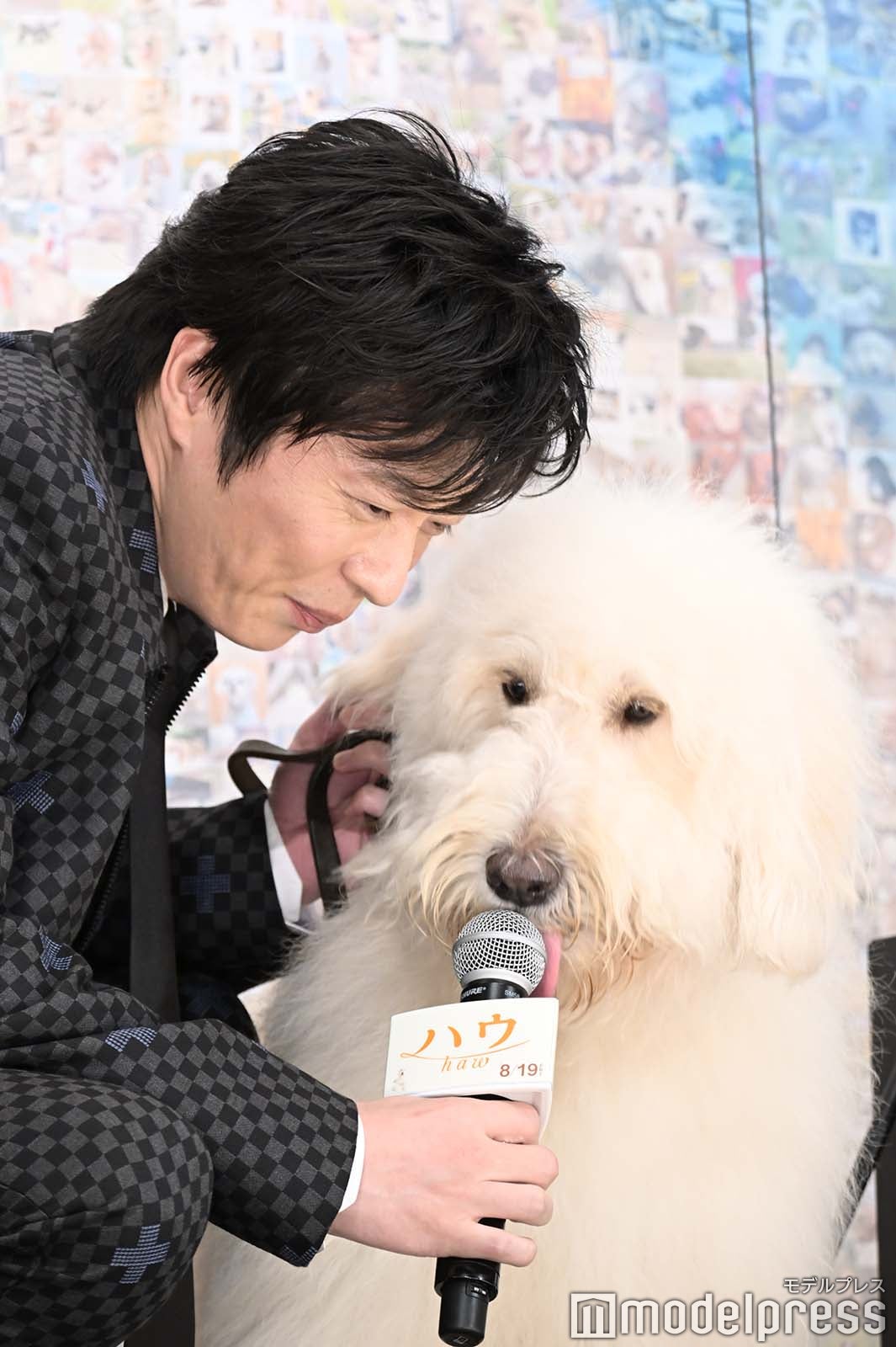 ベックに話を聞くもマイクを舐められてしまう田中圭 （C）モデルプレス