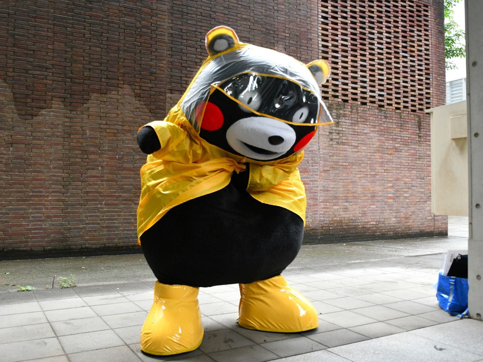 脱いでもスゴイ?=5月31日、東京都目黒区