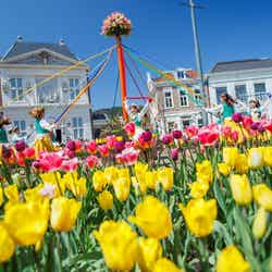 花絶景エリア/提供画像