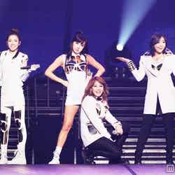 2NE1／前回の「YG Family Concert in Japan」より