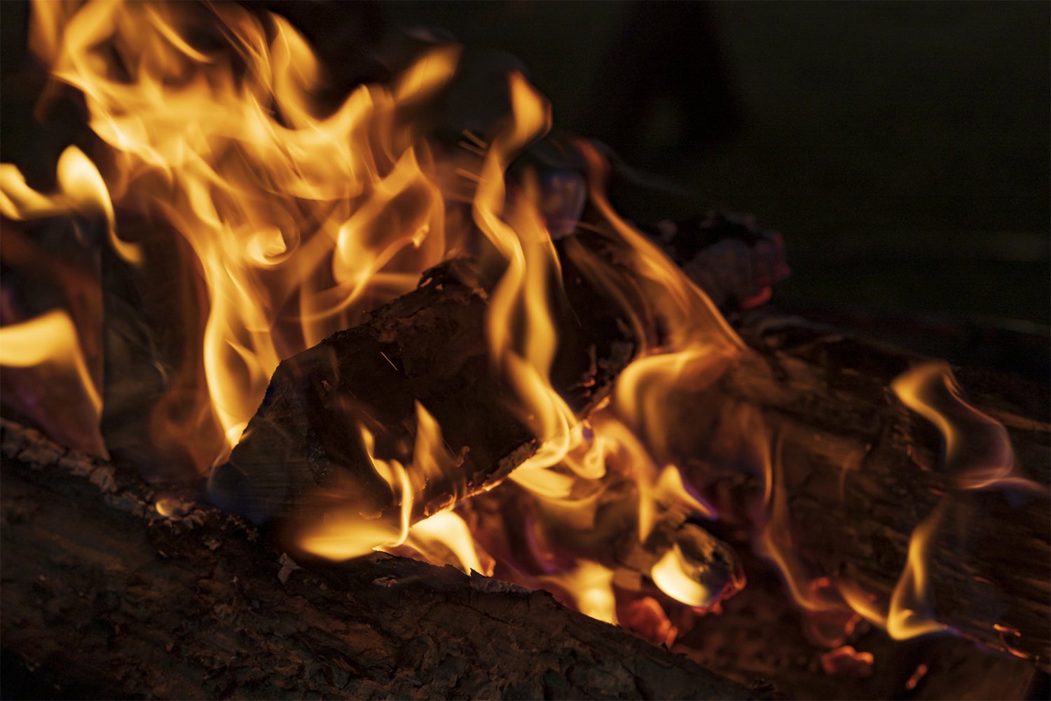 piilo-ピーロ- asobi＆stay／画像提供：ブッキングリゾート