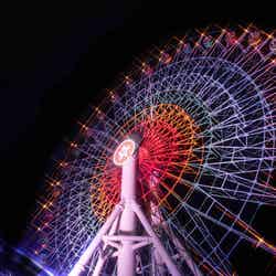 大観覧車/画像提供:みろくの里