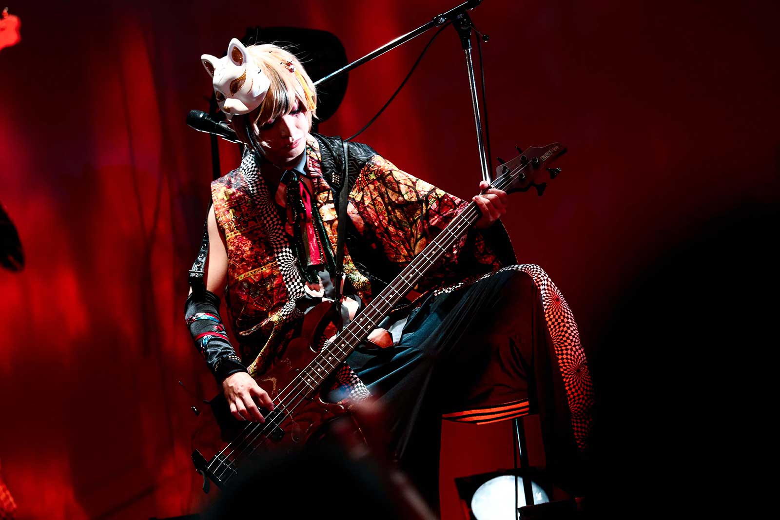 テンシ（提供写真）