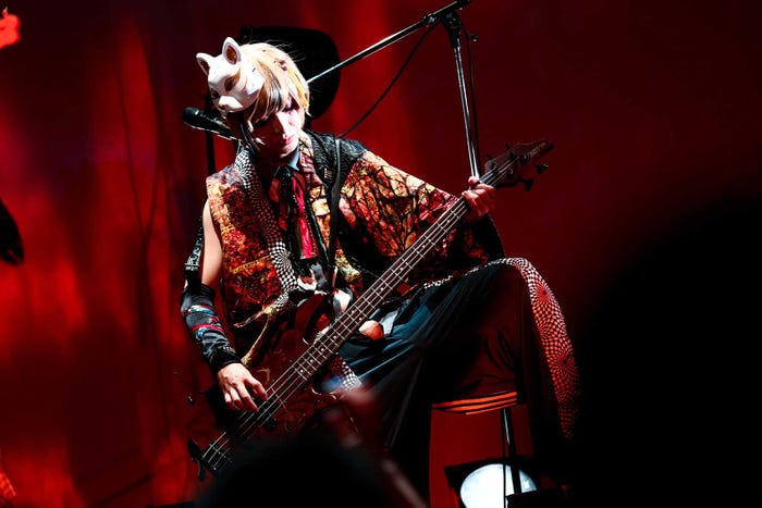 テンシ(提供写真)