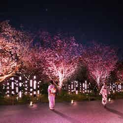 【桜の園】光と音のインスタレーション『春雷の園』/提供画像