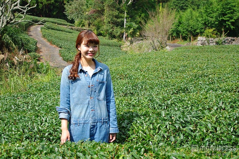 美容と健康の鍵、静岡美女が教える美味しいお茶の見分け方