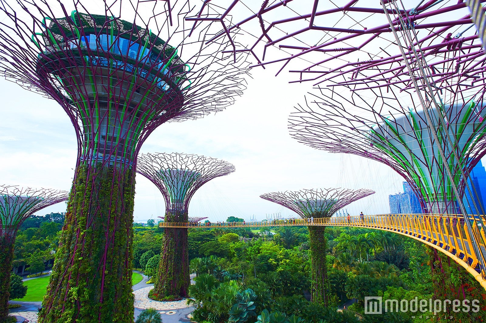 ガーデンズ・バイ・ザ・ベイ（C）モデルプレス