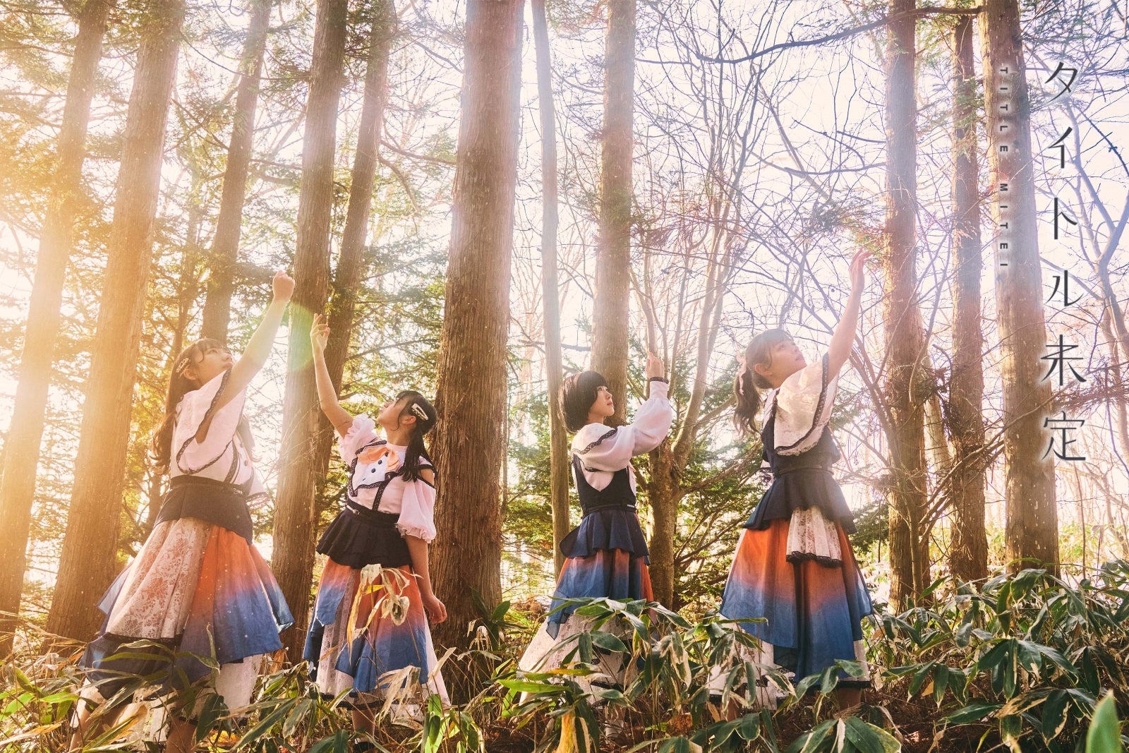 タイトル未定 （提供写真）