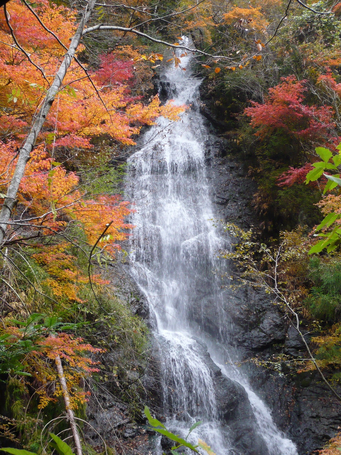 観音滝（提供画像）
