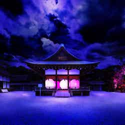 呼応する球体-下鴨神社 糺の森//画像提供:W media