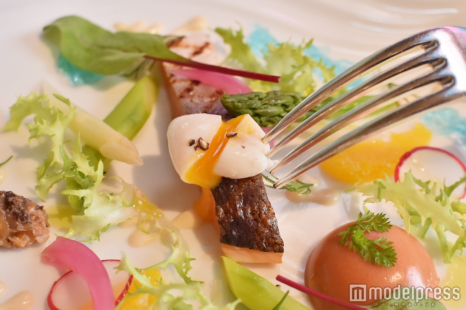 「桜鱒のマリネとタイム香るトマトのババロア仕立て　グラブラックスソース」／「東京ディズニーシー15周年“ザ・イヤー・オブ・ウィッシュ”」（C）モデルプレス