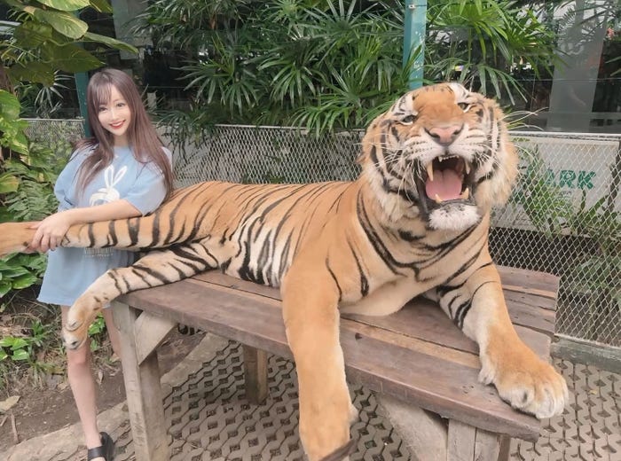 旅行の様子(提供画像)