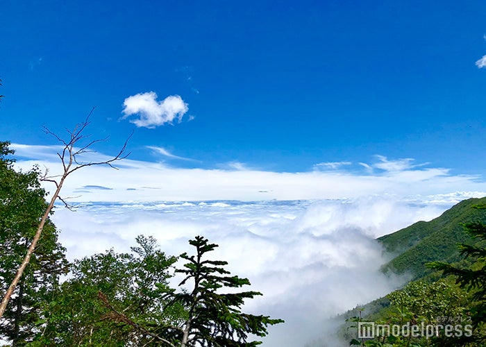 霧を抜けると雲の上に（C）モデルプレス