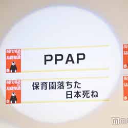 授賞式に欠席したピコ太郎が受賞したPPAP （C）モデルプレス