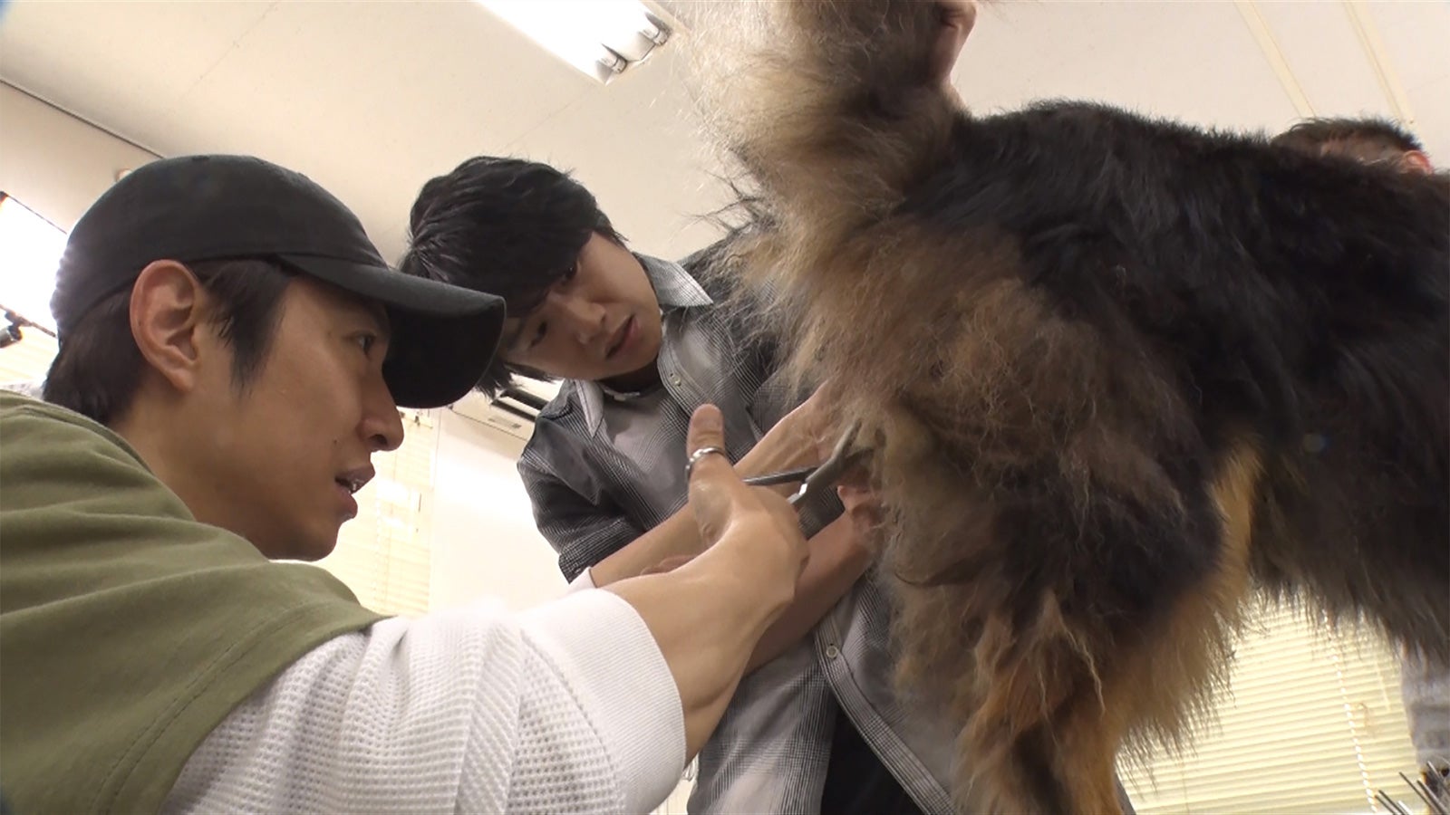 （左から）相葉雅紀、風間俊介 （C）日本テレビ