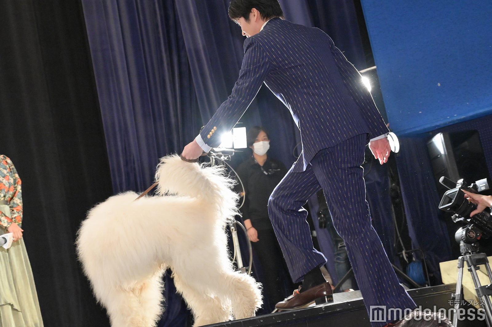 ベックに翻弄される田中圭（C）モデルプレス