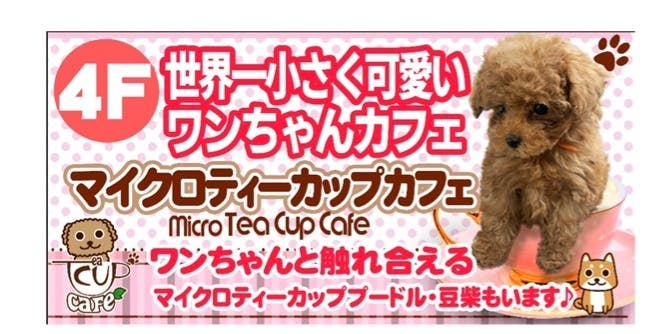 「マイクロティーカップカフェ」