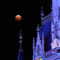 シンデレラ城と皆既月食（C）Disney