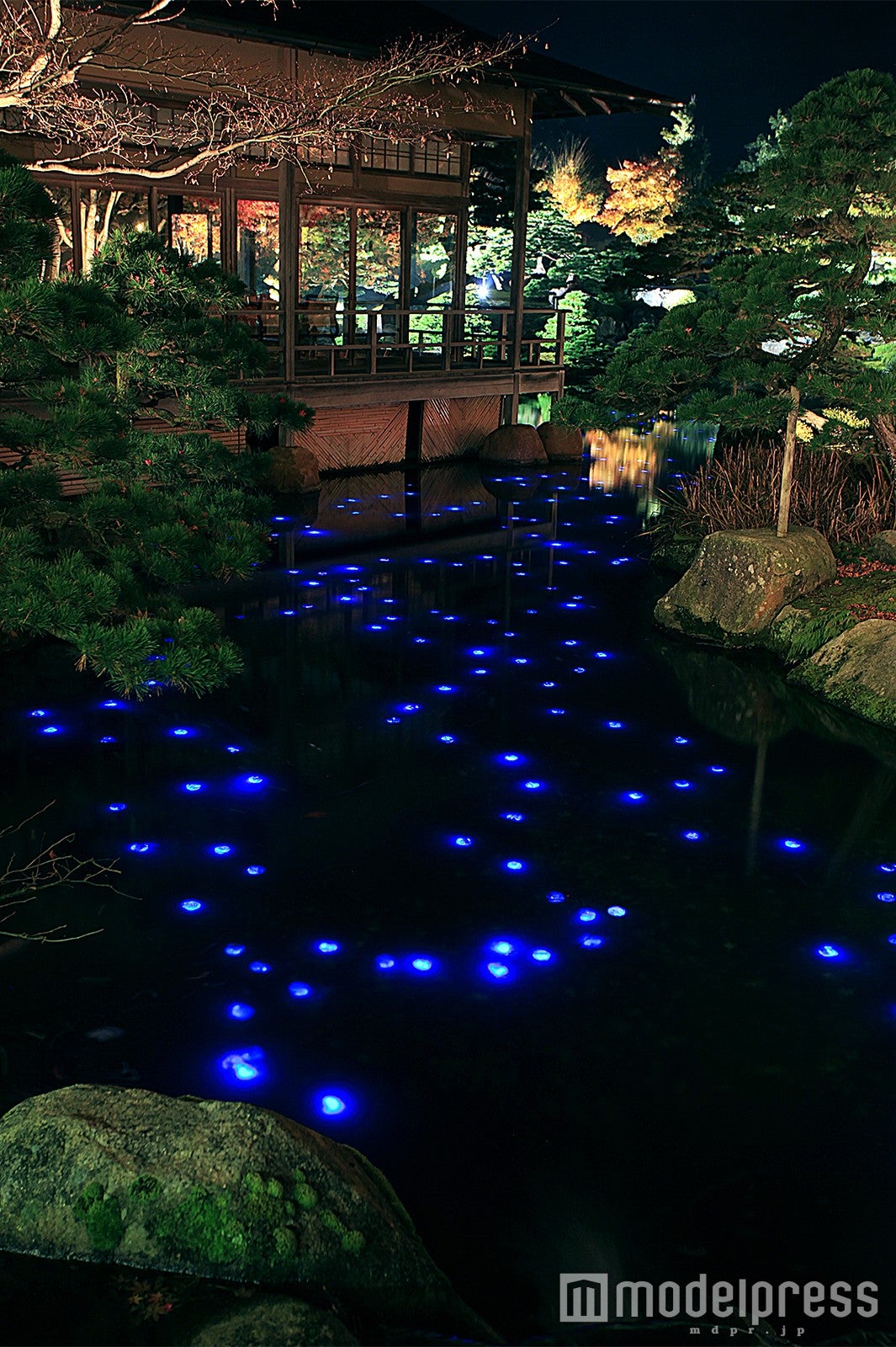 蒼の海蛍／画像提供：日本庭園 由志園