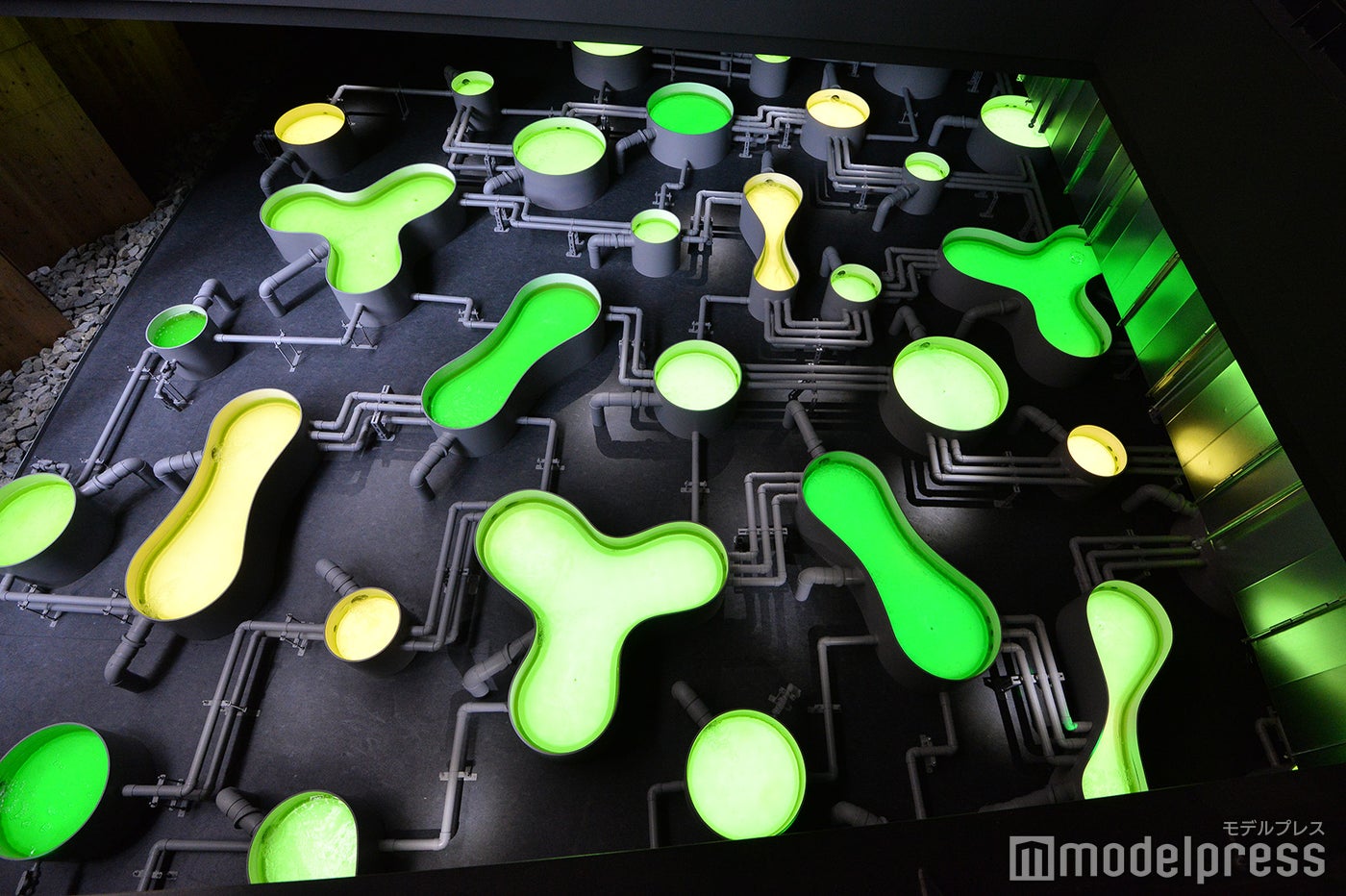 日本館（C）モデルプレス