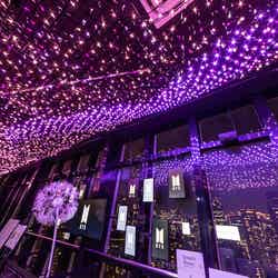 天の川イルミネーション/画像提供:東京タワー