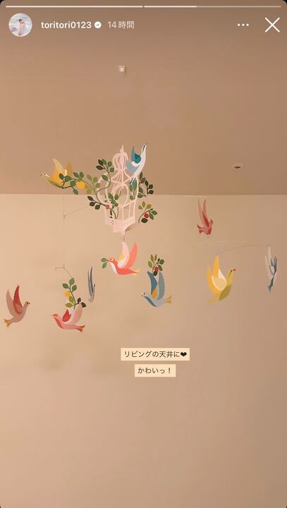 トリンドル玲奈Instagramストーリーズより