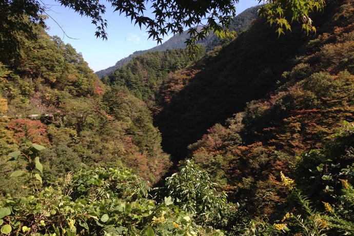 奥多摩むかしみち