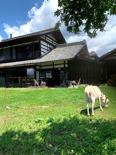 愛らしいヤギが暮らす、engawa cafe（提供画像）