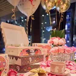 チアフルチョコチップクッキー/提供画像