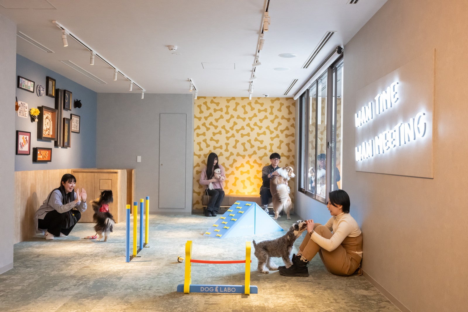 hotel anddoggy京都二条／提供画像