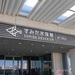 すみだ水族館(C)モデルプレス