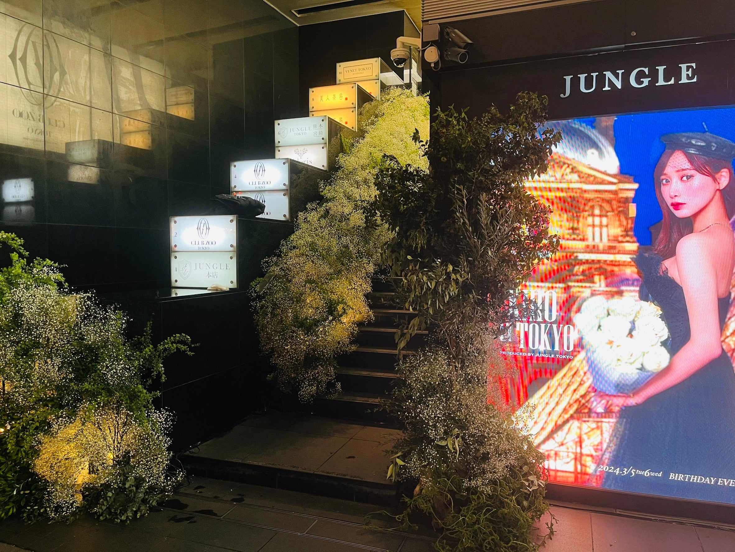 全体で5000本もの白いバラとカスミソウを使用（提供写真）