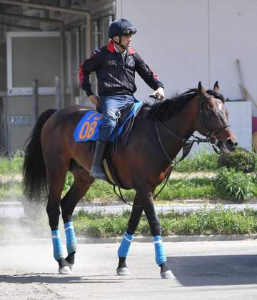 国枝栄厩務員 トクシーカイザーで“デビュー戦” 厩務員生活は「新鮮」 手綱は武豊「うれしいね。まずは無事にレースを終えてほしい」